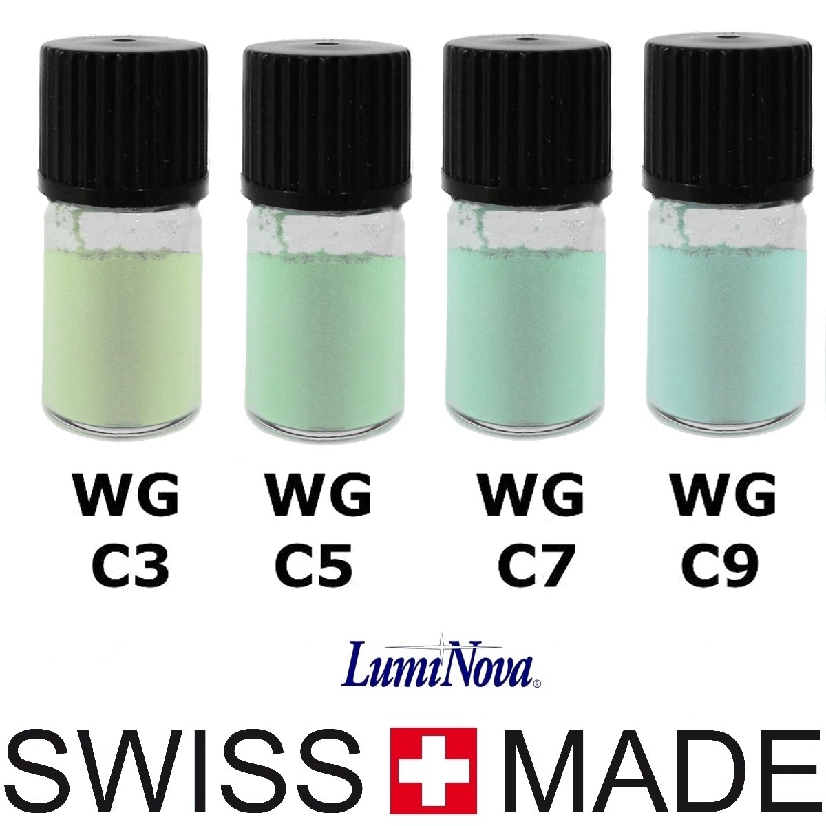 Kit di pasta luminosa per lancette degli orologi, polvere per