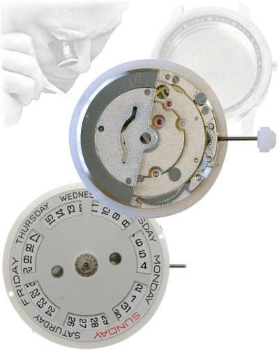 Movimento orologio automatico DG2812 - Fornitore di movimenti per